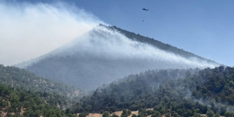 Diyarbakır'da örtü yangını; alevlere müdahale sürüyor
