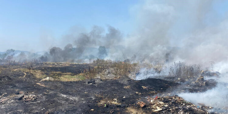 Düzce'de anız yangınında alevler buğday tarlasına sıçradı