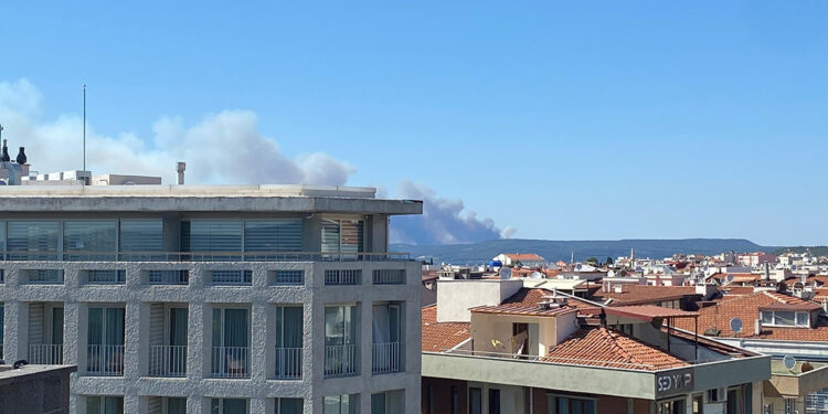 Eceabat'da orman yangını