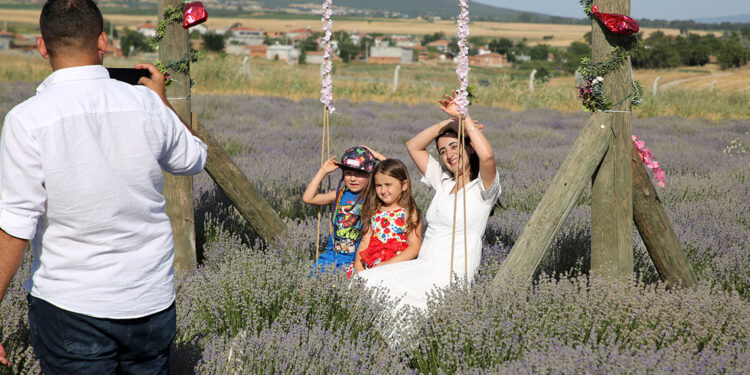Edirne'deki lavanta tarlaları bayramda ziyaretçilerini ağırladı 