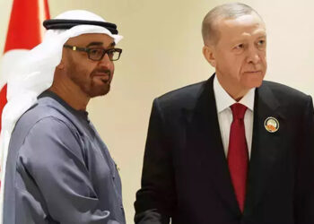 Erdoğan, BAE Devlet Başkanı Al Nahyan ile görüştü