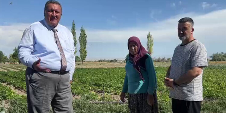 40 senedir sebze üretiyorum, bir ev sahibi bile olamadım