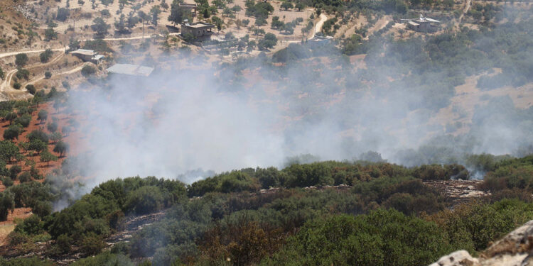 Gaziantep'te fıstık ve zeytin ağaçları bulunan arazide yangın