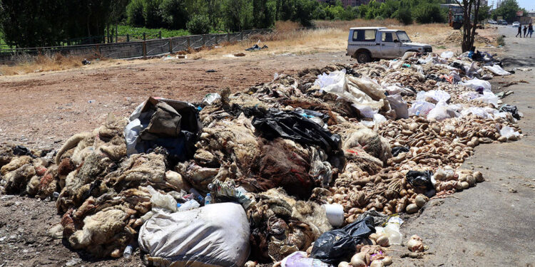 Gaziantep'te yüzlerce hayvan atıkları yol kenarına atıldı