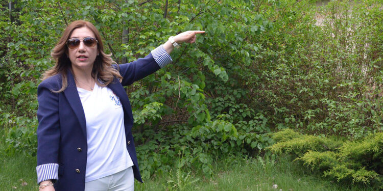 İklim değişikliği ile mücadelede genç kuşakların rolü önemli