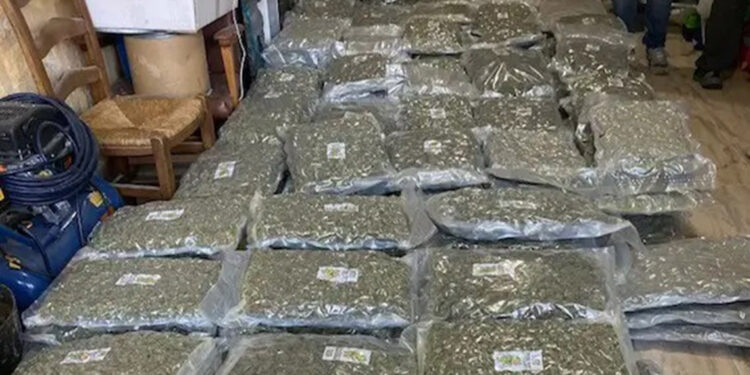 İspanya'da 2 tondan fazla uyuşturucu madde ele geçirildi