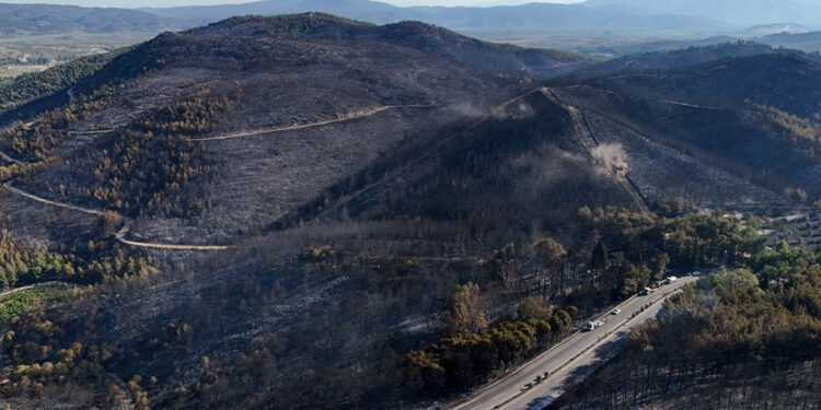 İzmir, Aydın ve Balıkesir'deki orman yangınları kontrol altına alındı