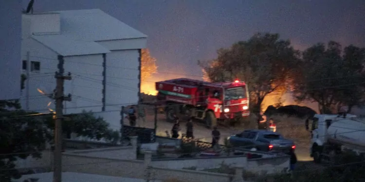 İzmir dikili'de otluk alanda yangın; ev ve balık çiftçiliği zarar gördü
