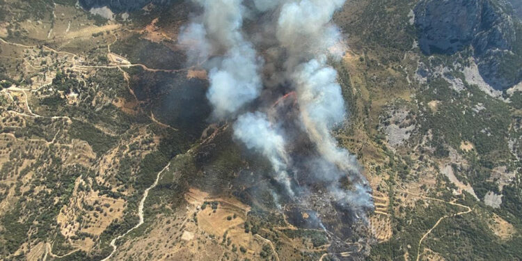 İzmir Karaburun'da orman yangını