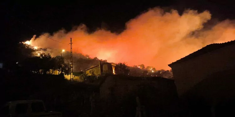 İzmir'deki zeytinlik yangını söndürüldü