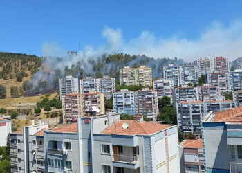 İzmir'in Aliağa ilçesinde orman yangını