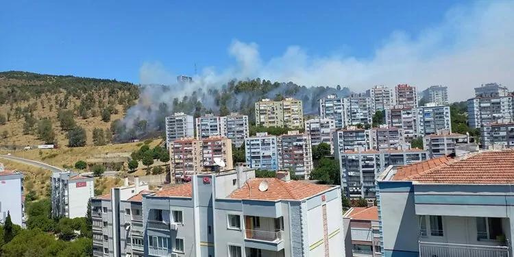 İzmir'in aliağa ilçesinde orman yangını