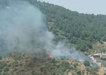İzmir'in Narlıdere ilçesinde orman yangını