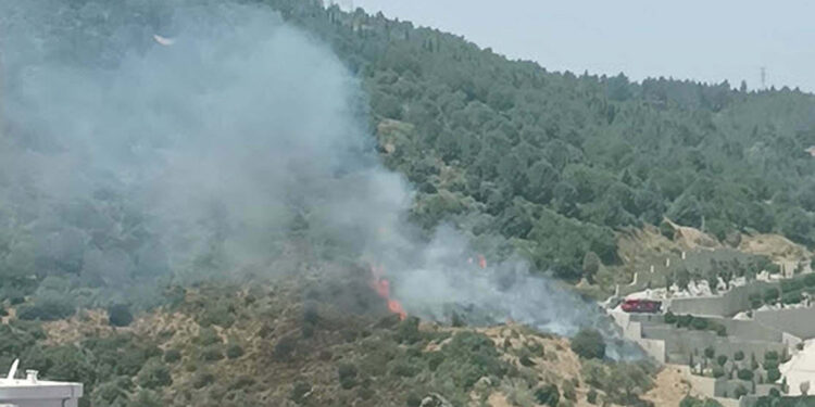 İzmir'in Narlıdere ilçesinde orman yangını 