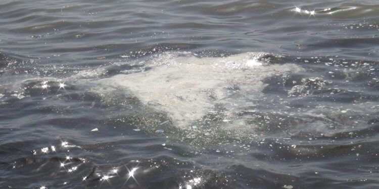 İzmit Körfezi'nde müsilaj benzeri tabakalar görüldü; numune alındı