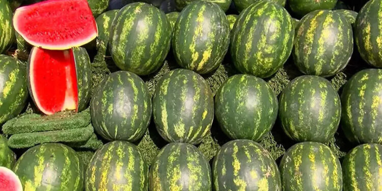 Karpuz tüketimi, tansiyon seviyesini dengeliyor