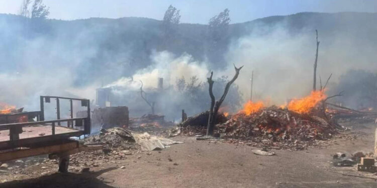 Kastamonu'da köyde çıkan yangında 12 ev küle döndü