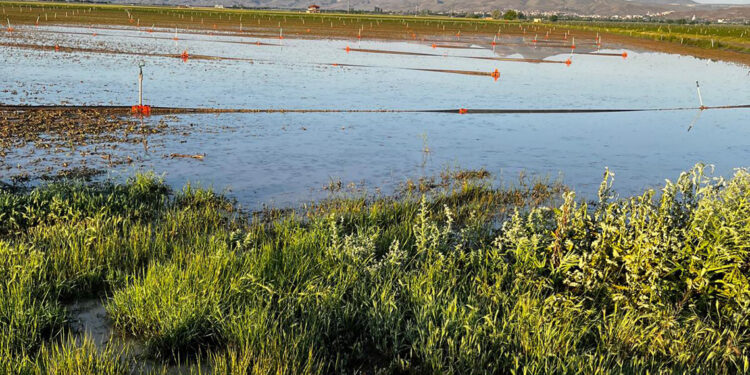 Kayseri'de dolu, tarım alanlarına zarar verdi