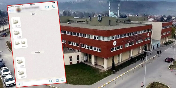 Kuğu emojili ilaç parası olayında soruşturma genişletildi