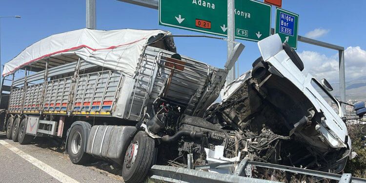 Kurbanlık taşıyan TIR bariyerlere çarptı: 7 büyükbaş öldü