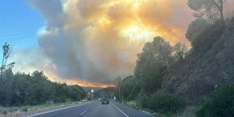 Kuşadası'ndaki yangına havadan müdahale başladı