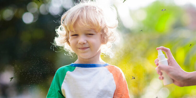 Lavanta ve karanfil yağı, en etkili bitkisel sinek kovuculardır