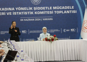 Kadına şiddet uygulayanların profil analizlerini yapacağız