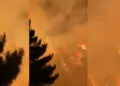 Malatya'da örtü yangınında 400 dönüm alan zarar gördü