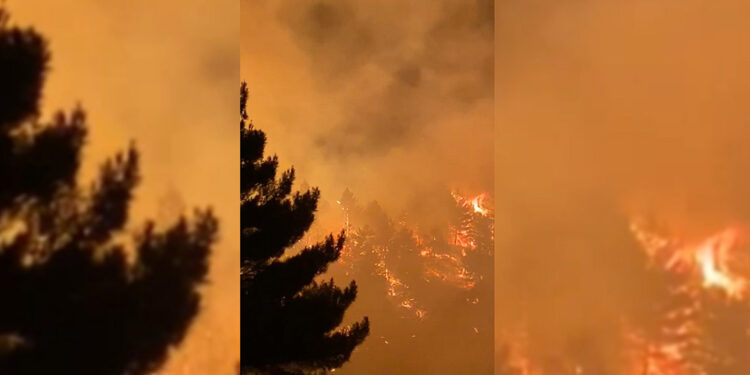 Malatya'da örtü yangınında 400 dönüm alan zarar gördü
