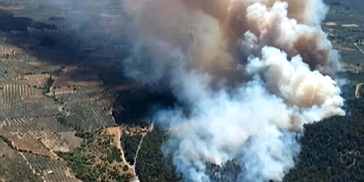 Manisa'nın Soma ilçesinde orman yangını