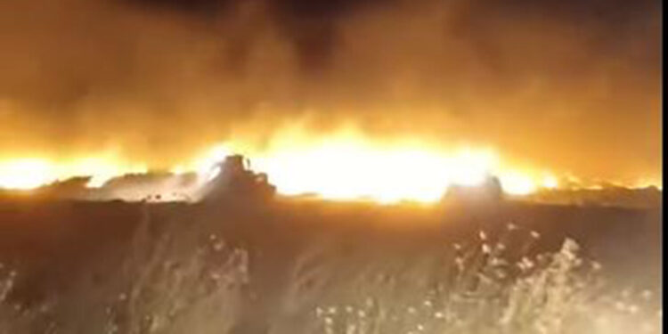 Mardin'de 110 dönüm buğday ekili arazi yandı
