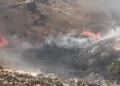 Mardin'de örtü yangını; müdahale sürüyor
