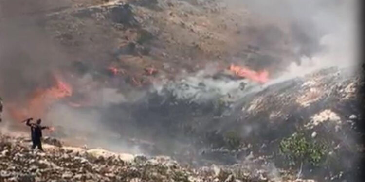 Mardin'de örtü yangını; müdahale sürüyor