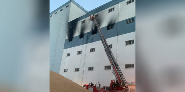 Mardin'de un fabrikasında yangın