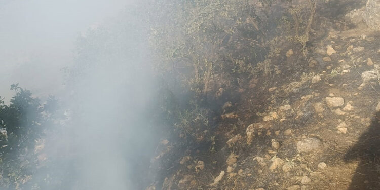 Mardin'deki örtü yangını 7 saatte söndürüldü