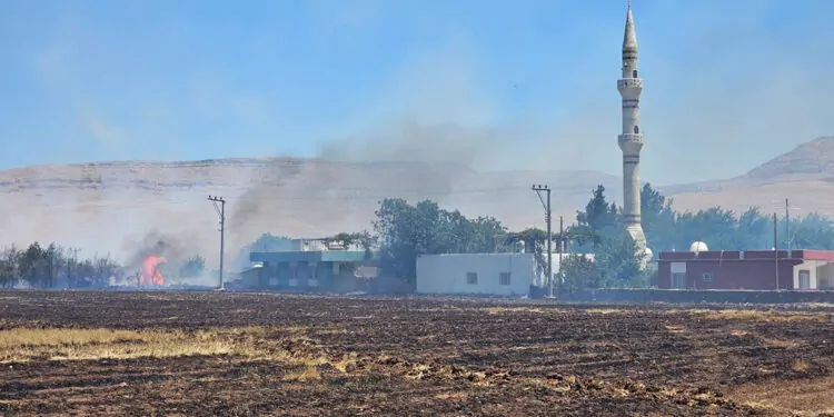 Mardin'in 5 ilçesinde anız ve örtü yangınları