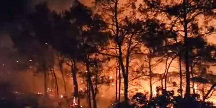 Marmaris'te ormanda yangın: 1 hektar alan zarar gördü