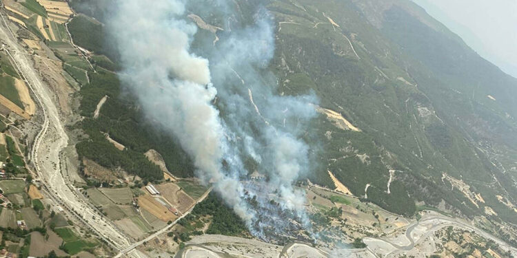 Menteşe'deki ormanda yangın