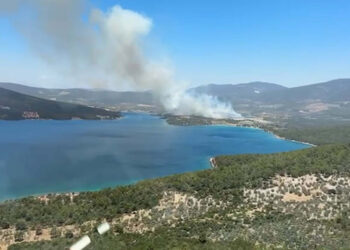 Muğla Milas'ta ormanda yangın