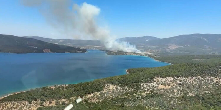 Muğla Milas'ta ormanda yangın