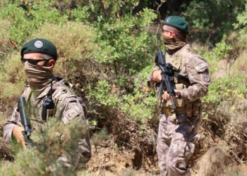 Muğla'da orman yangınlarına karşı üst seviye tedbir