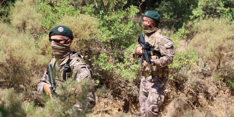 Muğla'da orman yangınlarına karşı üst seviye tedbir