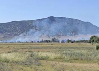 Osmaniye'deki kastabala kuş cenneti havzasında yangın
