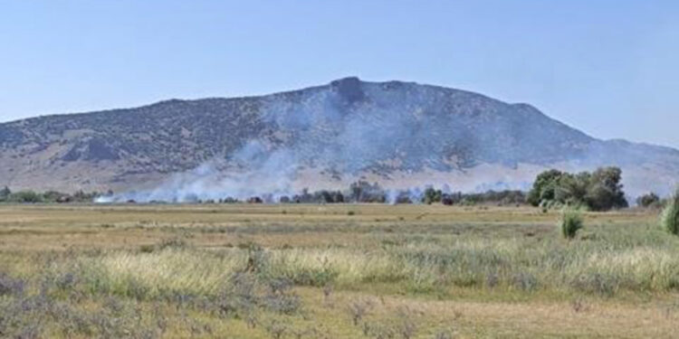Osmaniye'deki Kastabala Kuş Cenneti havzasında yangın