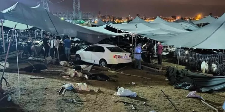 Otomobil hayvan pazarına girdi: 8 yaralı, 7 kurbanlık öldü