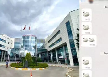 Parola 'kuğu emojisi' 4 doktor hakkında soruşturma açıldı