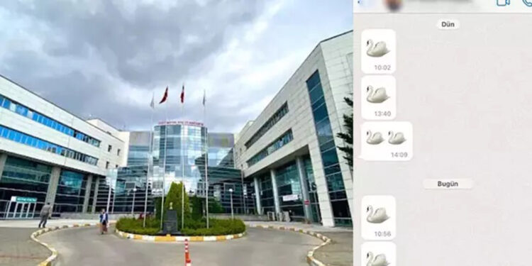 Parola 'kuğu emojisi' 4 doktor hakkında soruşturma açıldı