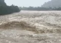 Rize'de sağanak yağış, taşkın ve heyelanlara neden oldu