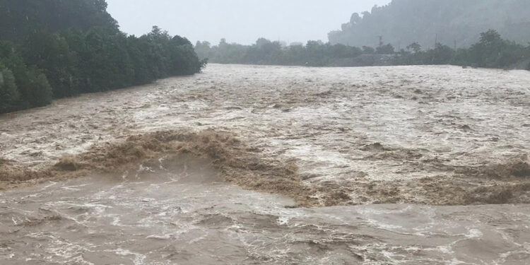 Rize'de sağanak yağış, taşkın ve heyelanlara neden oldu
