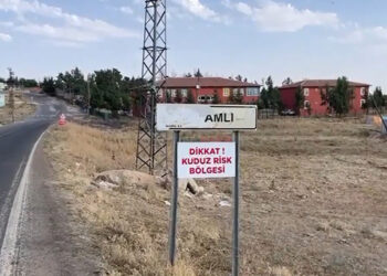 Şanlıurfa'da 2 mahalle kuduz nedeniyle karantinaya alındı